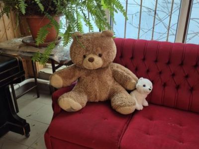 Tuskevar_macko_20250202_3