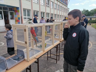 Karolyut_202505_Csiripelo_Madar_Kiallitas_03