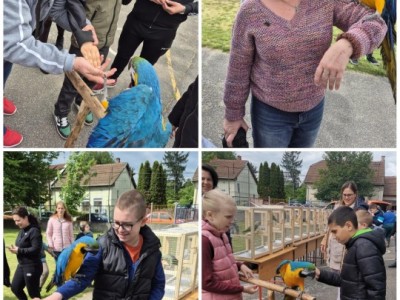 Karolyut_202505_Csiripelo_Madar_Kiallitas_08