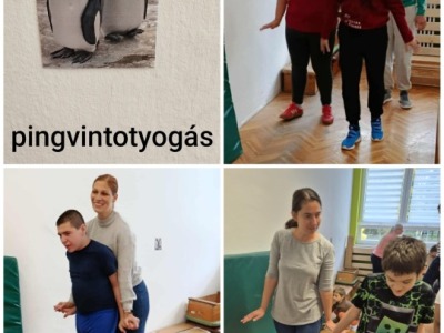 Karolyut_2025_10_Allatvedelmi_temahet_H