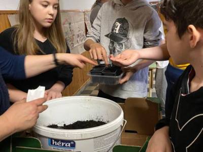 Miklosut_Viz_vilagnapja_4