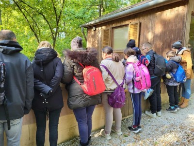 Szelesut_20251003_Vadaspark_04