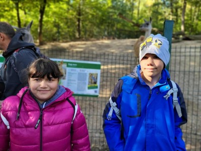 Szelesut_20251003_Vadaspark_06