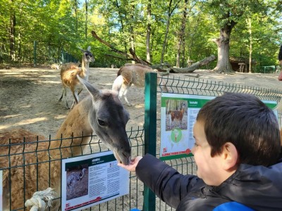 Szelesut_20251003_Vadaspark_07