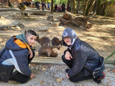 Szelesut_20251003_Vadaspark_08