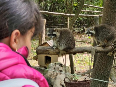Szelesut_20251003_Vadaspark_11