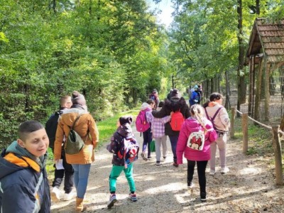 Szelesut_20251003_Vadaspark_13