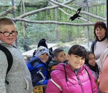 Szelesut_20251003_Vadaspark_14