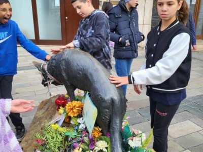 Szelesut_20250905_Gyaloglonap_17