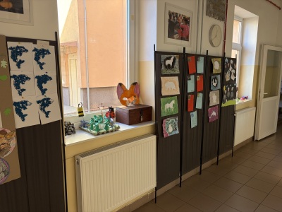 202609_Csodalatos-allatvilag_01