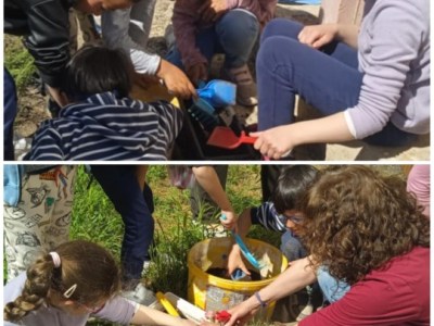 Karolyut_202504_FOLD_NAPJA_04