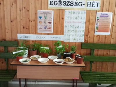 Karolyut_202505_Egeszseg_het_01