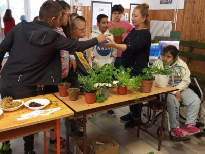 Karolyut_202505_Egeszseg_het_02