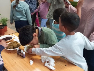 Karolyut_202505_Egeszseg_het_03