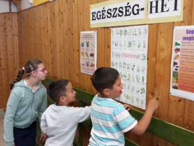 Karolyut_202505_Egeszseg_het_04