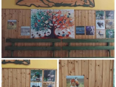 Karolyut_2025_10_Allatvedelmi_temahet_2