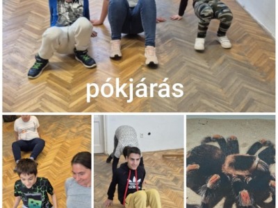 Karolyut_2025_10_Allatvedelmi_temahet_5