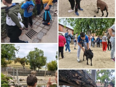 Karolyut_2025_09_Allatkerti_seta_3